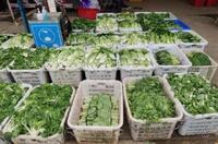2022年北京冬奧會里的塑料新材料！